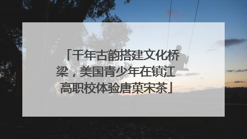 千年古韵搭建文化桥梁，美国青少年在镇江高职校体验唐菓宋茶