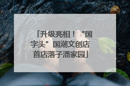 升级亮相！“国字头”国潮文创店首店落子潘家园