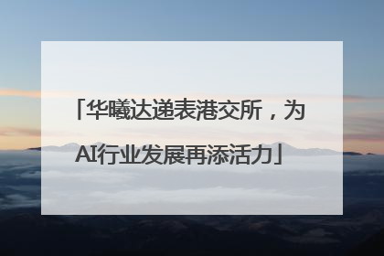 华曦达递表港交所，为AI行业发展再添活力