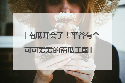 南瓜开会了！平谷有个可可爱爱的南瓜王国