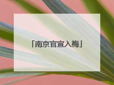 南京官宣入梅