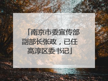 南京市委宣传部副部长张政，已任高淳区委书记
