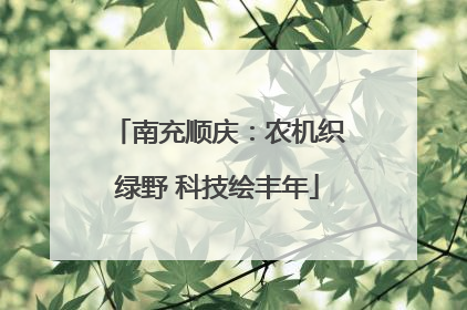 南充顺庆：农机织绿野 科技绘丰年