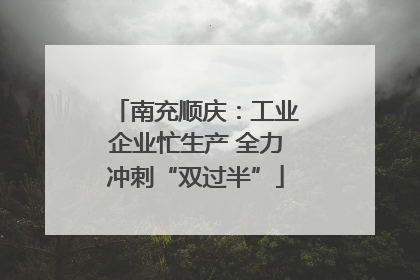 南充顺庆：工业企业忙生产 全力冲刺“双过半”
