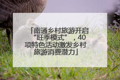 南通乡村旅游开启“旺季模式”，40项特色活动激发乡村旅游消费潜力