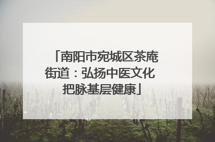 南阳市宛城区茶庵街道：弘扬中医文化 把脉基层健康