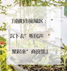 南阳市宛城区：“沉下去”听民声 “聚起来”商良策