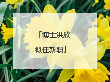 博士洪欣拟任新职