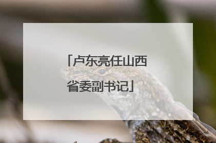 卢东亮任山西省委副书记