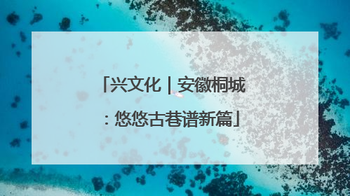 兴文化｜安徽桐城：悠悠古巷谱新篇