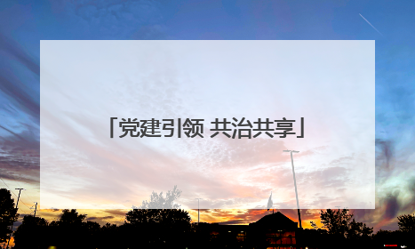 党建引领 共治共享