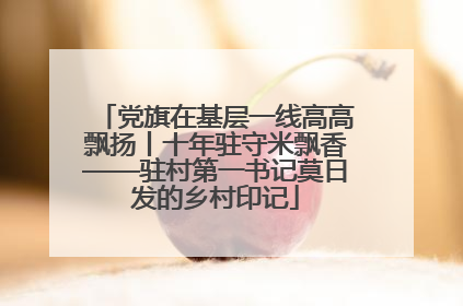 党旗在基层一线高高飘扬丨十年驻守米飘香——驻村第一书记莫日发的乡村印记