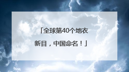 全球第40个地衣新目，中国命名！