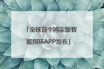 全球首个鸿蒙版智能指环APP发布