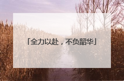 全力以赴，不负韶华
