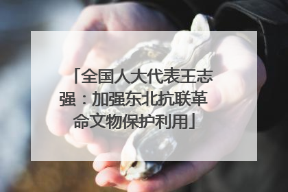 全国人大代表王志强：加强东北抗联革命文物保护利用