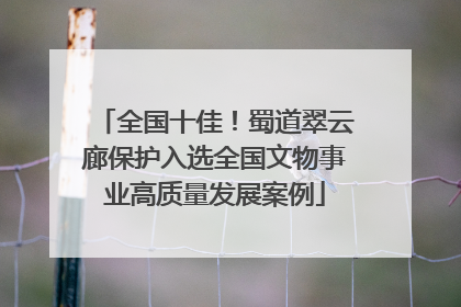 全国十佳！蜀道翠云廊保护入选全国文物事业高质量发展案例