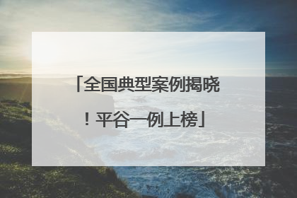全国典型案例揭晓！平谷一例上榜