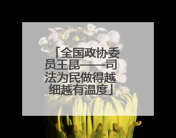全国政协委员王昆——司法为民做得越细越有温度
