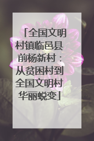 全国文明村镇临邑县前杨新村：从贫困村到全国文明村华丽蜕变