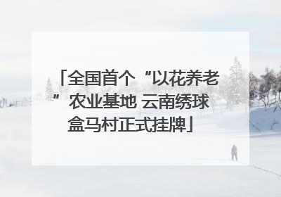 全国首个“以花养老”农业基地 云南绣球盒马村正式挂牌