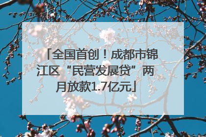 全国首创！成都市锦江区“民营发展贷”两月放款1.7亿元