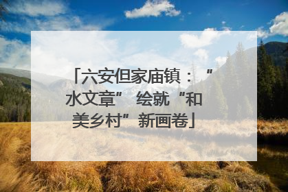 六安但家庙镇：“水文章” 绘就“和美乡村”新画卷