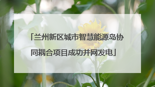兰州新区城市智慧能源岛协同耦合项目成功并网发电