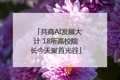 共商AI发展大计 18所高校院长今天聚首光谷