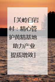 关岭白岩村：精心管护黄精基地 助力产业提质增效