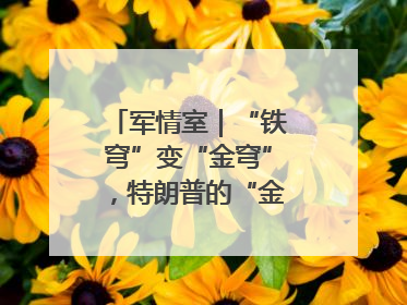 军情室｜“铁穹”变“金穹”，特朗普的“金钟罩”靠谱吗