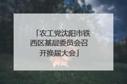 农工党沈阳市铁西区基层委员会召开换届大会