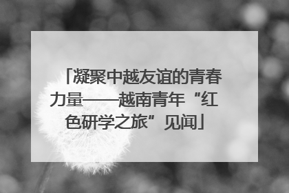 凝聚中越友谊的青春力量——越南青年“红色研学之旅”见闻
