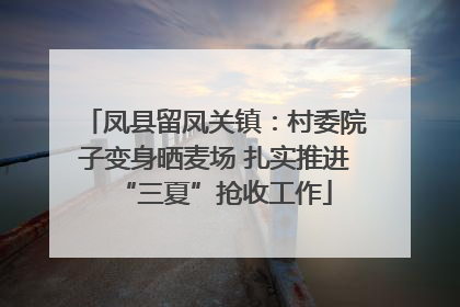 凤县留凤关镇：村委院子变身晒麦场 扎实推进“三夏”抢收工作