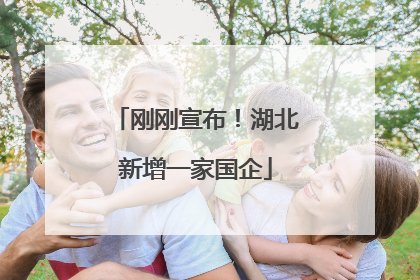 刚刚宣布！湖北新增一家国企