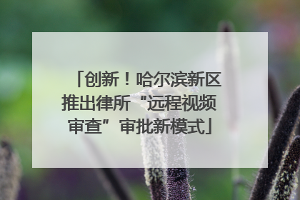 创新！哈尔滨新区推出律所“远程视频审查”审批新模式