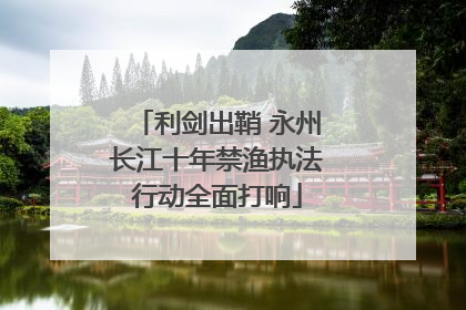 利剑出鞘 永州长江十年禁渔执法行动全面打响