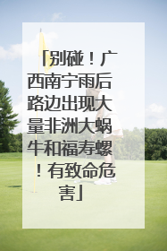 别碰！广西南宁雨后路边出现大量非洲大蜗牛和福寿螺！有致命危害