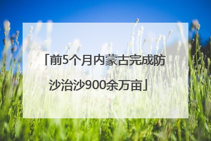 前5个月内蒙古完成防沙治沙900余万亩