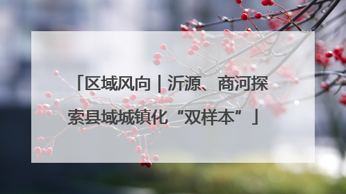区域风向｜沂源、商河探索县域城镇化“双样本”