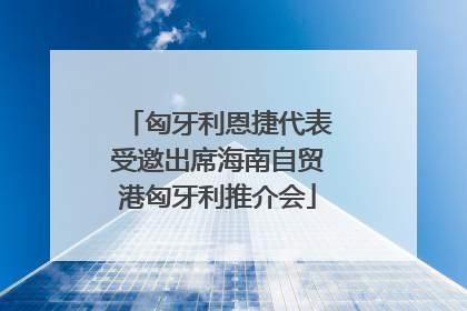 匈牙利恩捷代表受邀出席海南自贸港匈牙利推介会
