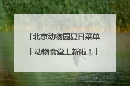 北京动物园夏日菜单丨动物食堂上新啦！