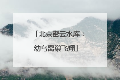 北京密云水库：幼鸟离巢飞翔