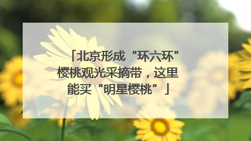 北京形成“环六环”樱桃观光采摘带，这里能买“明星樱桃”