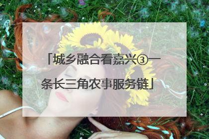 城乡融合看嘉兴③一条长三角农事服务链
