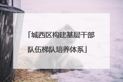 城西区构建基层干部队伍梯队培养体系