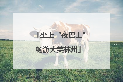 坐上“夜巴士” 畅游大美林州