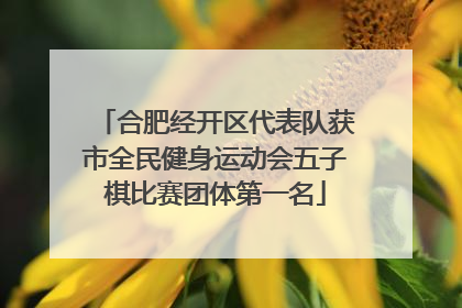 合肥经开区代表队获市全民健身运动会五子棋比赛团体第一名