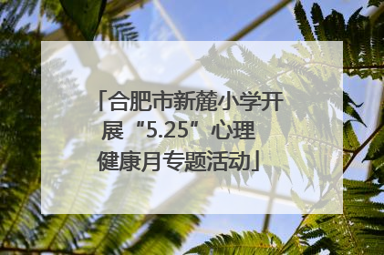 合肥市新麓小学开展“5.25”心理健康月专题活动