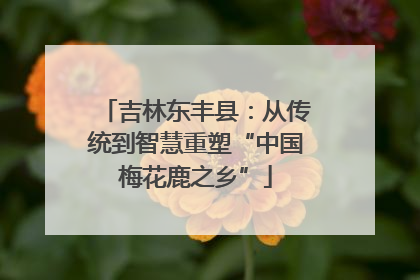 吉林东丰县：从传统到智慧重塑“中国梅花鹿之乡”